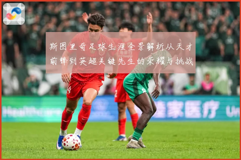 斯图里奇足球生涯全景解析从天才前锋到英超关键先生的荣耀与挑战-深度解析